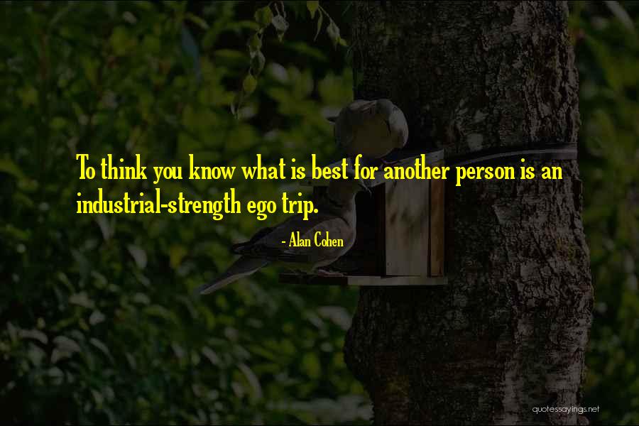 Chinurile Quotes By Alan Cohen Chinurile Quotes By Alan Cohen