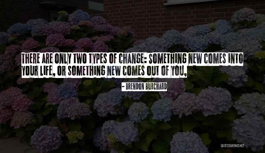 Chinweizu Anatomy Quotes By Brendon Burchard Chinweizu Anatomy Quotes By Brendon Burchard