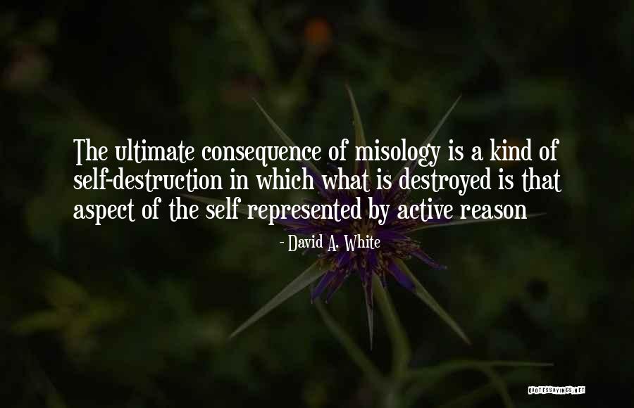 Chionetti Wines Quotes By David A. White Chionetti Wines Quotes By David A. White