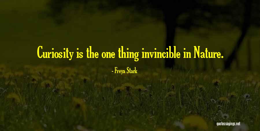 Chiong Sister Quotes By Freya Stark