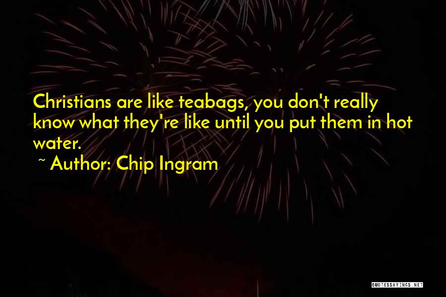 Chip Ingram Quotes 2206963