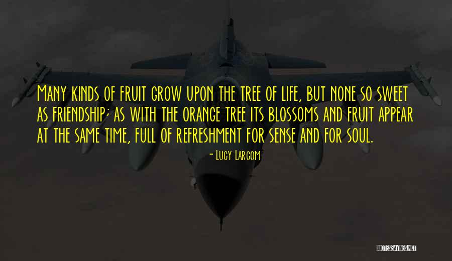 Chipera Quotes By Lucy Larcom Chipera Quotes By Lucy Larcom