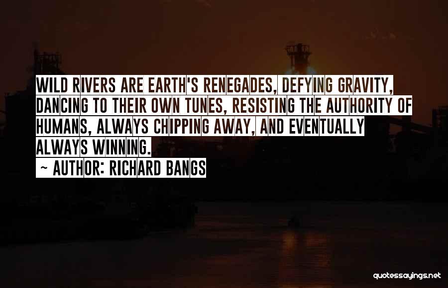 Chipping Away Quotes By Richard Bangs