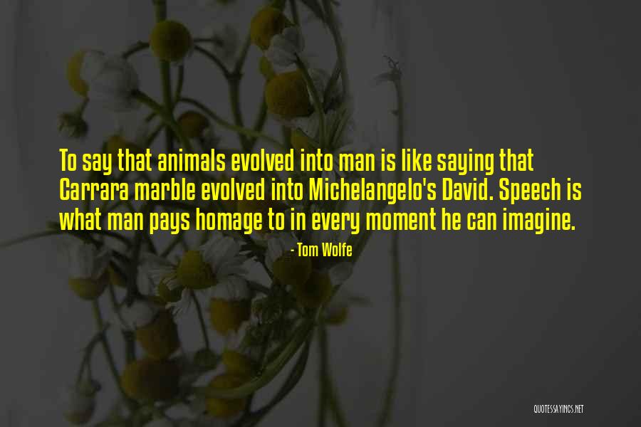 Chipuri Ale Quotes By Tom Wolfe Chipuri Ale Quotes By Tom Wolfe
