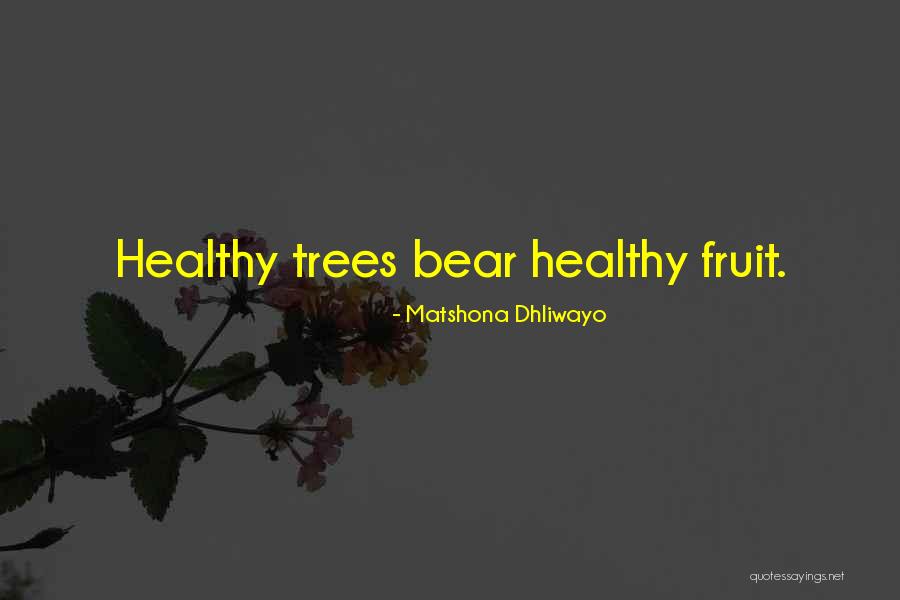 Chiquillo Feo Quotes By Matshona Dhliwayo Chiquillo Feo Quotes By Matshona Dhliwayo