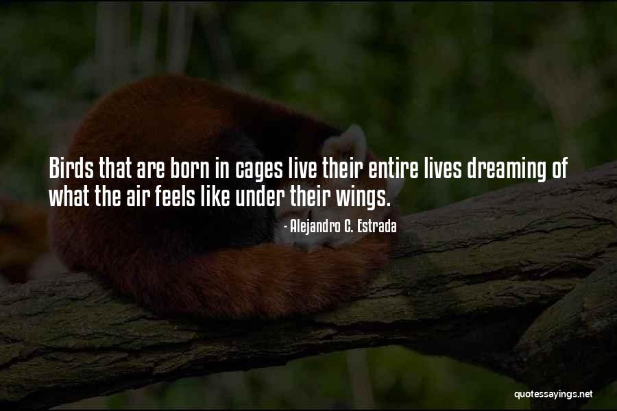 Chiriaco Chevron Quotes By Alejandro C. Estrada Chiriaco Chevron Quotes By Alejandro C. Estrada