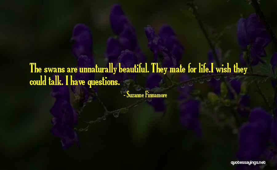 Chirospring Quotes By Suzanne Finnamore Chirospring Quotes By Suzanne Finnamore