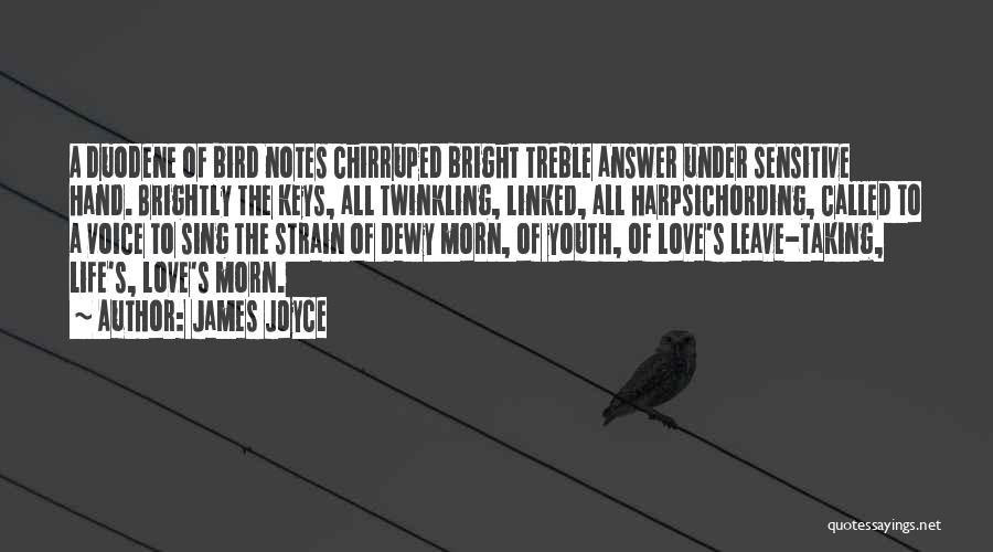 Chirping Quotes By James Joyce