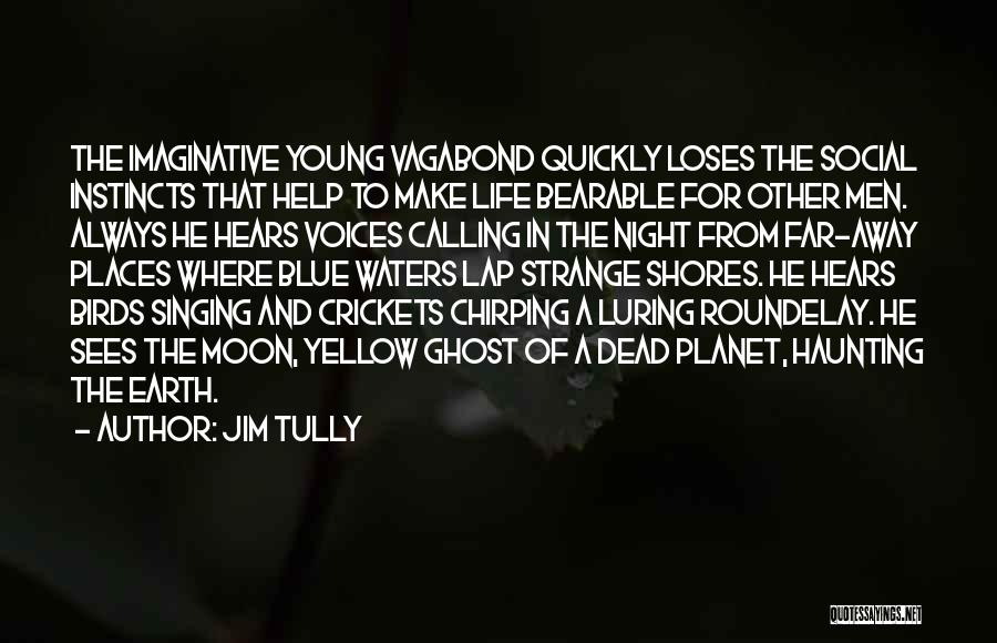 Chirping Quotes By Jim Tully