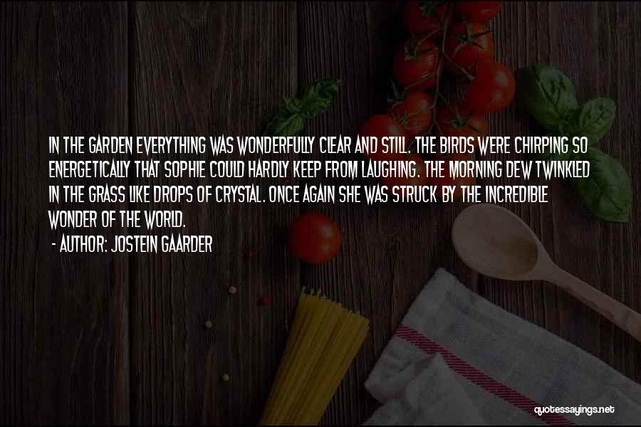 Chirping Quotes By Jostein Gaarder