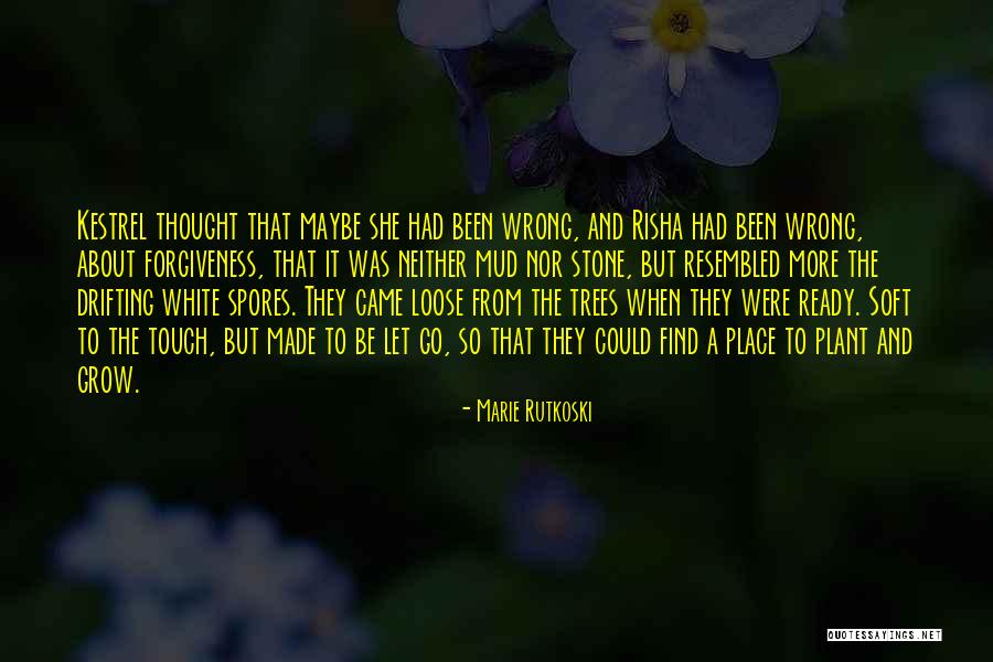 Chirurgien Orl Quotes By Marie Rutkoski Chirurgien Orl Quotes By Marie Rutkoski