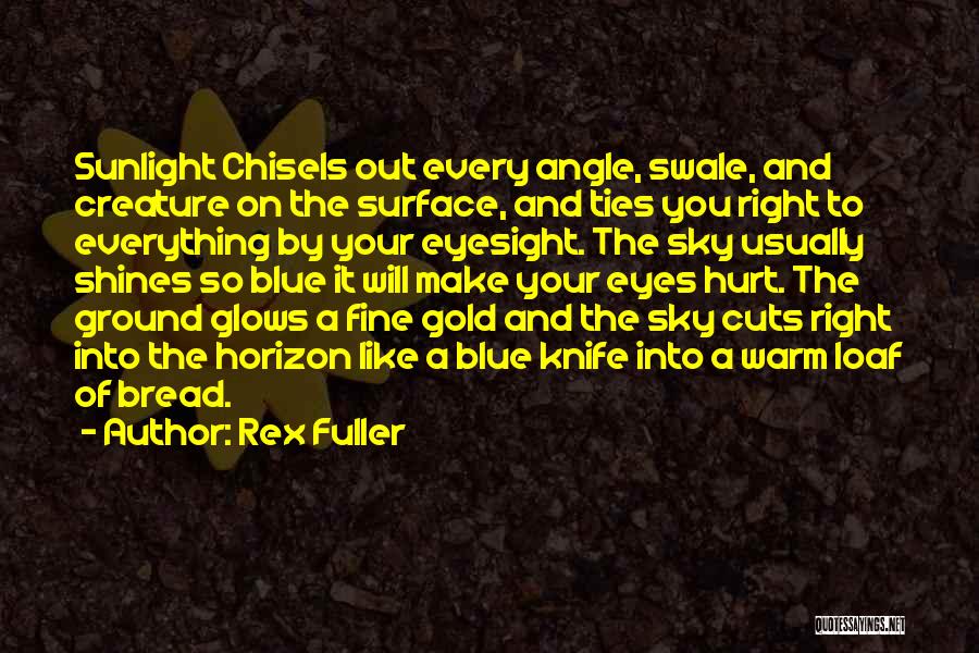 Chisels Quotes By Rex Fuller