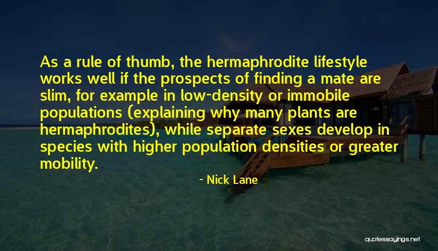 Chisenhall Nestrud Quotes By Nick Lane Chisenhall Nestrud Quotes By Nick Lane