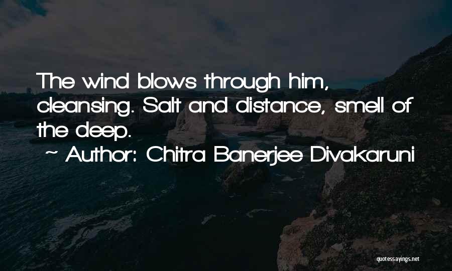 Chitra Banerjee Divakaruni Quotes 1049585