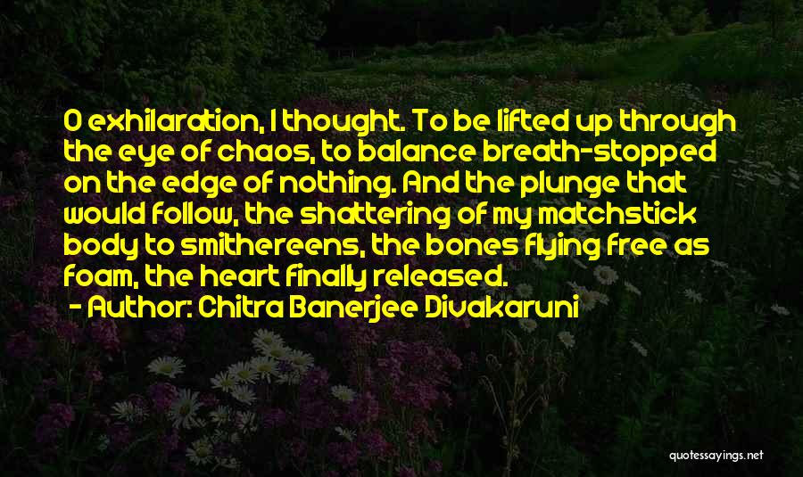 Chitra Banerjee Divakaruni Quotes 1239972