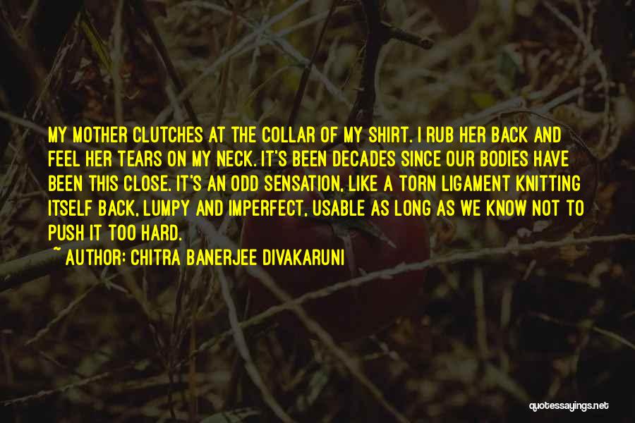 Chitra Banerjee Divakaruni Quotes 701146