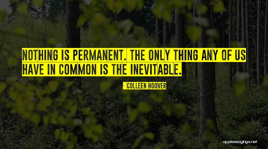 Chitra Devendran Quotes By Colleen Hoover