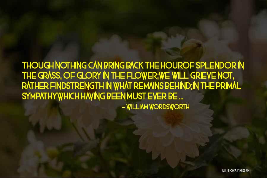 Chitrita Banerji Quotes By William Wordsworth Chitrita Banerji Quotes By William Wordsworth