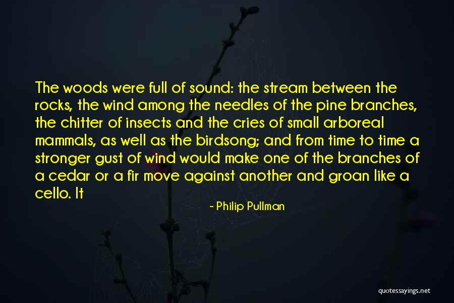 Chitter Quotes By Philip Pullman Chitter Quotes By Philip Pullman