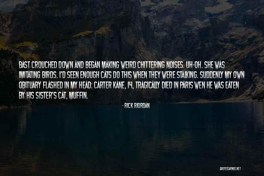 Chittering Cat Quotes By Rick Riordan Chittering Cat Quotes By Rick Riordan