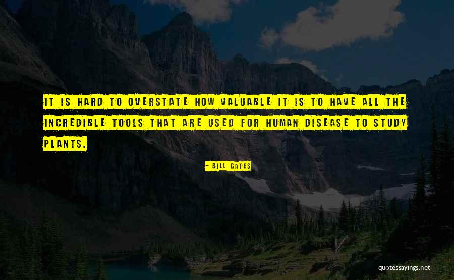 Chittum Tree Quotes By Bill Gates Chittum Tree Quotes By Bill Gates