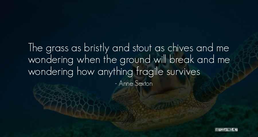 Chives Quotes By Anne Sexton Chives Quotes By Anne Sexton