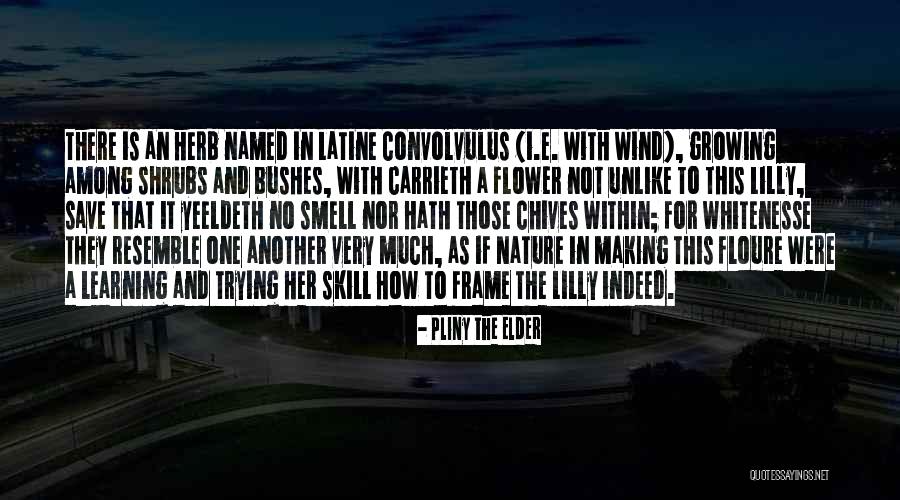 Chives Quotes By Pliny The Elder Chives Quotes By Pliny The Elder