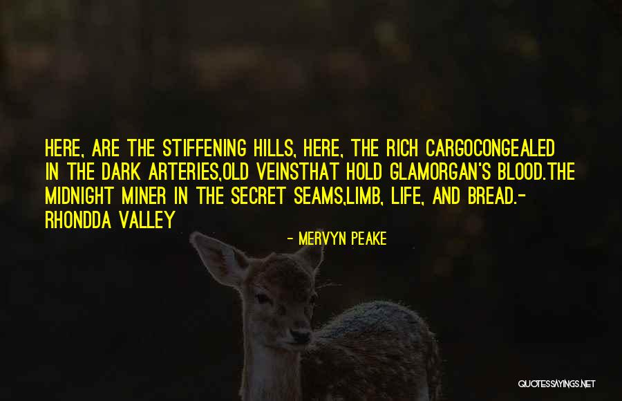 Chivvis Enterprises Quotes By Mervyn Peake Chivvis Enterprises Quotes By Mervyn Peake