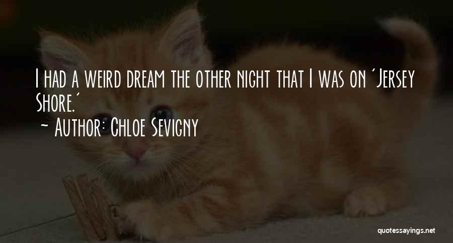 Chloe Sevigny Quotes 1126462