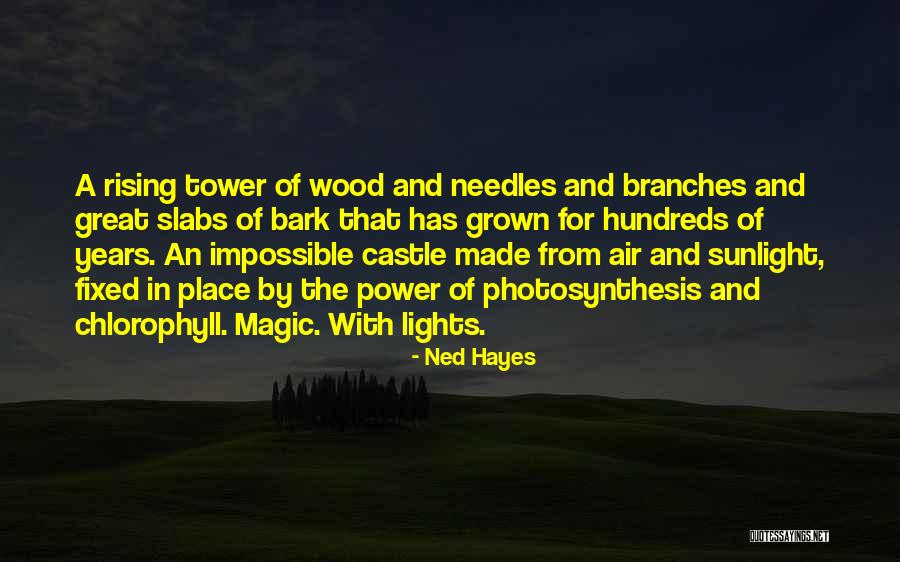 Chlorophyll B Quotes By Ned Hayes Chlorophyll B Quotes By Ned Hayes