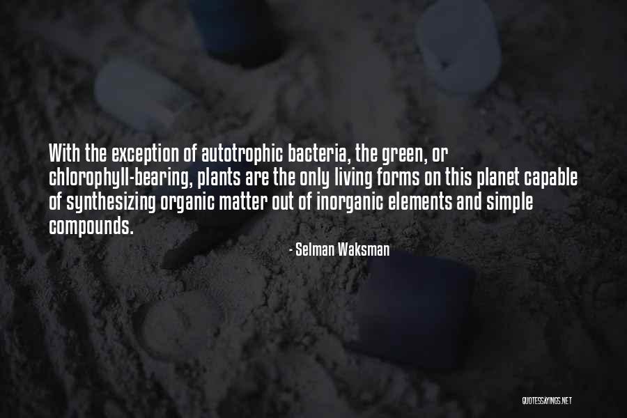 Chlorophyll In Plants Quotes By Selman Waksman
