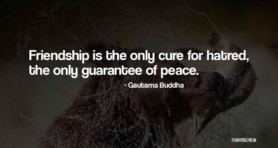 Chmielewska Daria Quotes By Gautama Buddha