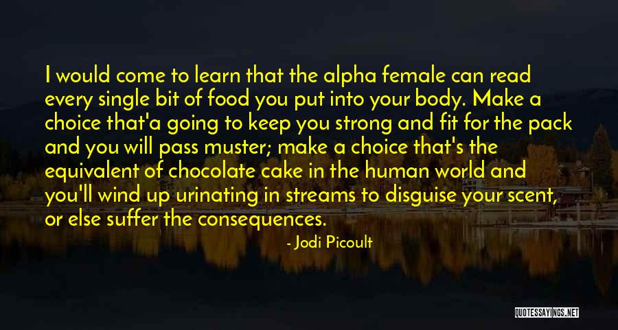Chocolate And Cake Quotes By Jodi Picoult Chocolate And Cake Quotes By Jodi Picoult