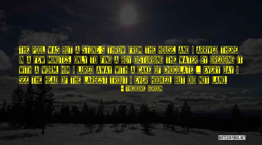 Chocolate Cake Quotes By Theodore Gordon Chocolate Cake Quotes By Theodore Gordon