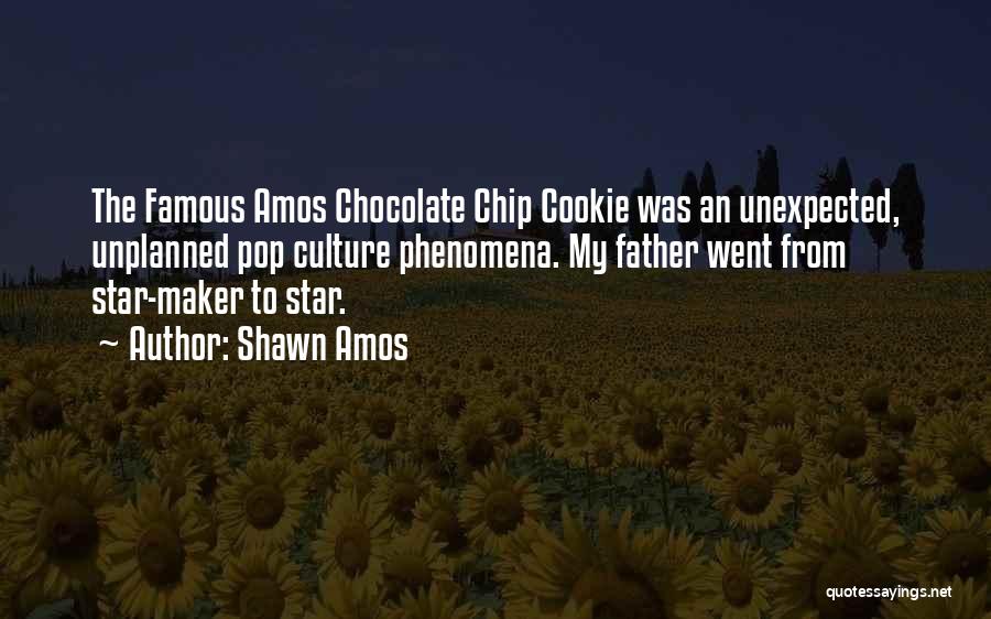 Chocolate Chip Quotes By Shawn Amos