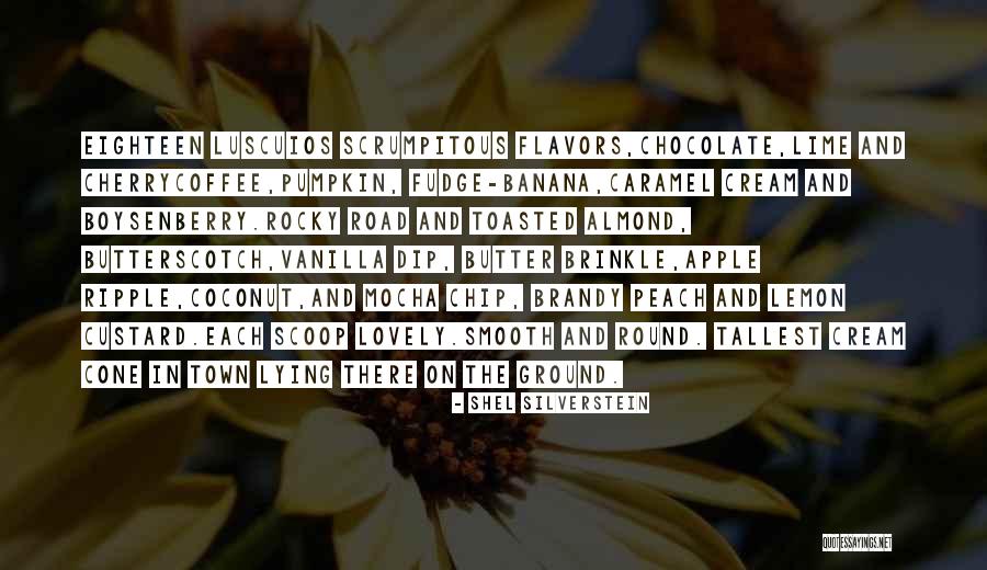 Chocolate Chip Quotes By Shel Silverstein Chocolate Chip Quotes By Shel Silverstein