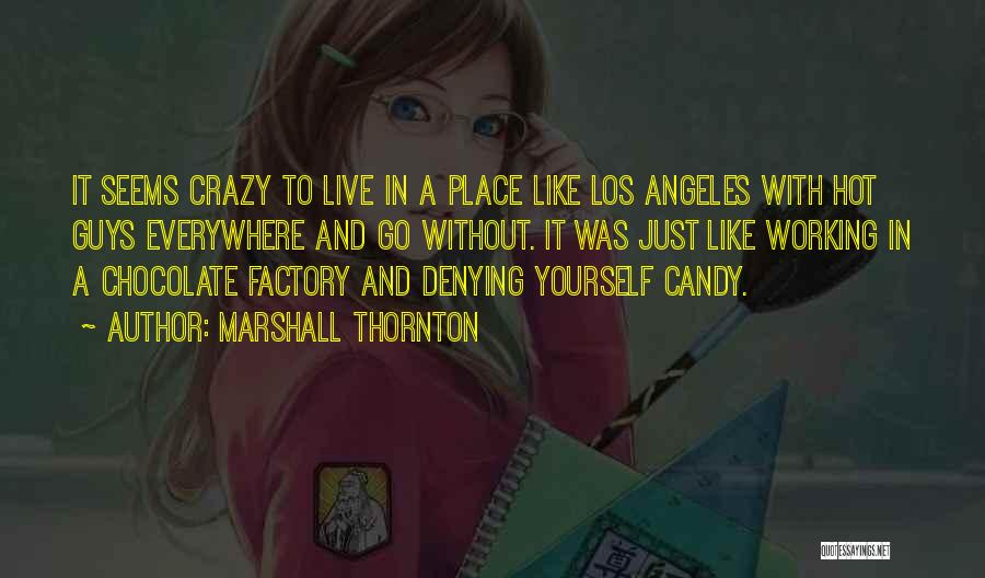 Chocolate Crazy Quotes By Marshall Thornton