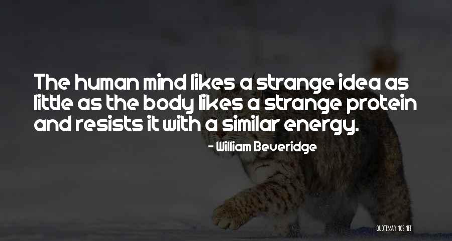 Chocolate Dipped Strawberries Quotes By William Beveridge Chocolate Dipped Strawberries Quotes By William Beveridge
