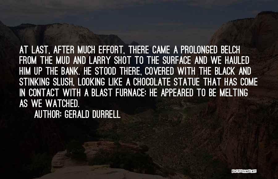 Chocolate Funny Quotes By Gerald Durrell