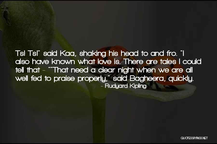 Chodit Kolem Quotes By Rudyard Kipling Chodit Kolem Quotes By Rudyard Kipling