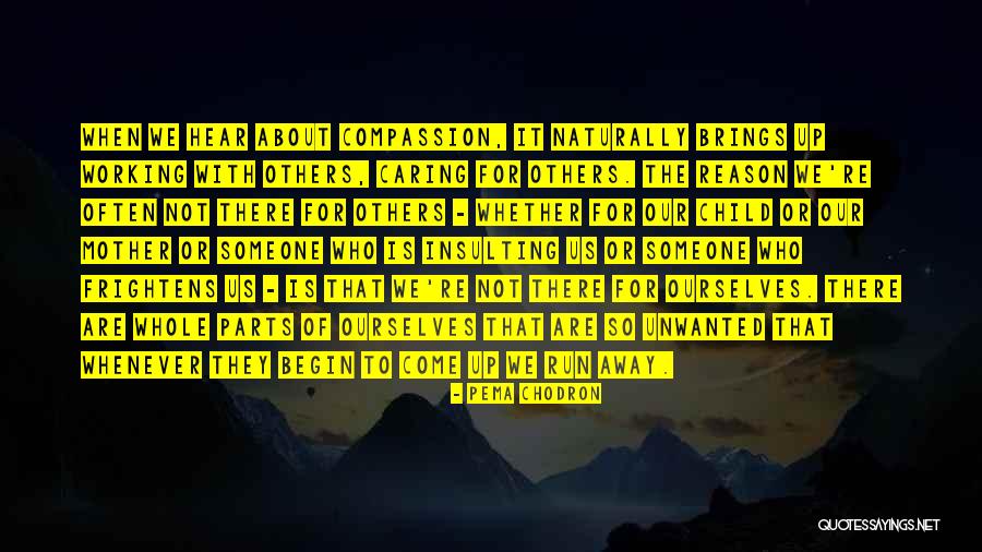 Chodron Quotes By Pema Chodron Chodron Quotes By Pema Chodron