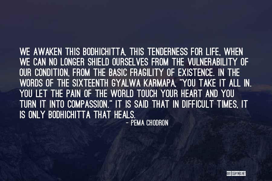 Chodron Quotes By Pema Chodron Chodron Quotes By Pema Chodron