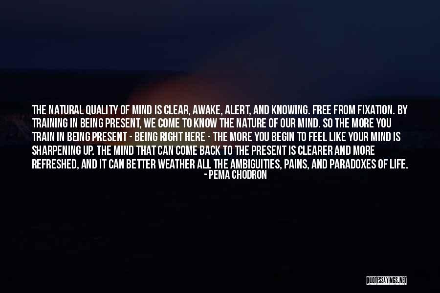 Chodron Quotes By Pema Chodron Chodron Quotes By Pema Chodron