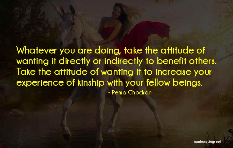 Chodron Quotes By Pema Chodron Chodron Quotes By Pema Chodron