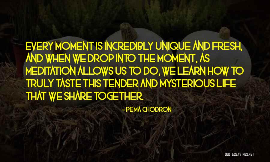 Chodron Quotes By Pema Chodron Chodron Quotes By Pema Chodron