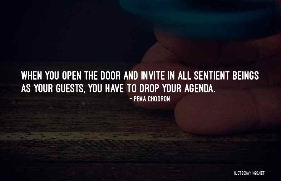 Chodron Quotes By Pema Chodron Chodron Quotes By Pema Chodron