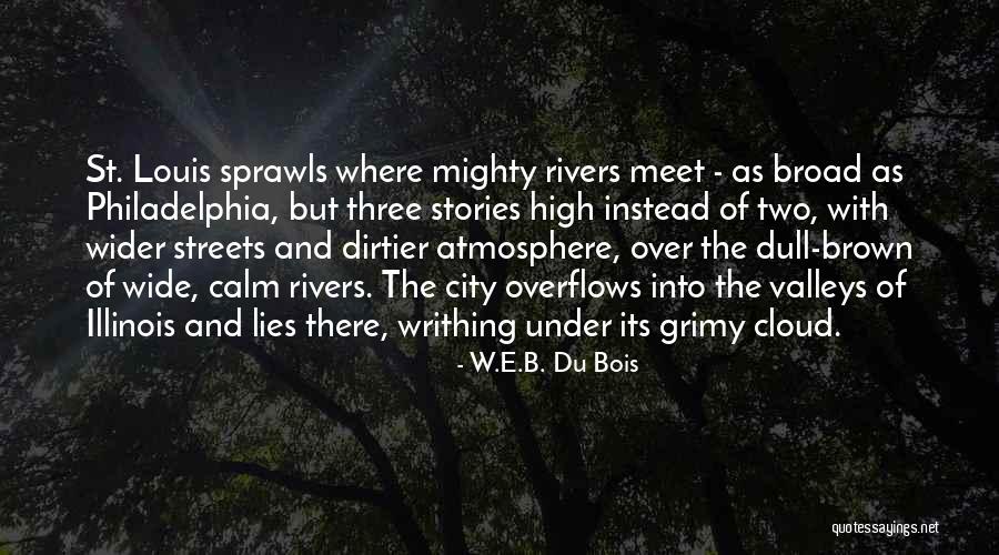 Chogak Coconut Quotes By W.E.B. Du Bois