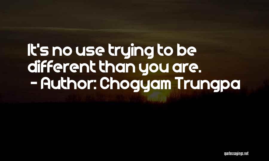 Chogyam Quotes By Chogyam Trungpa