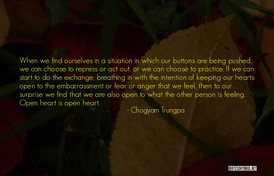 Chogyam Trungpa Quotes 1328729