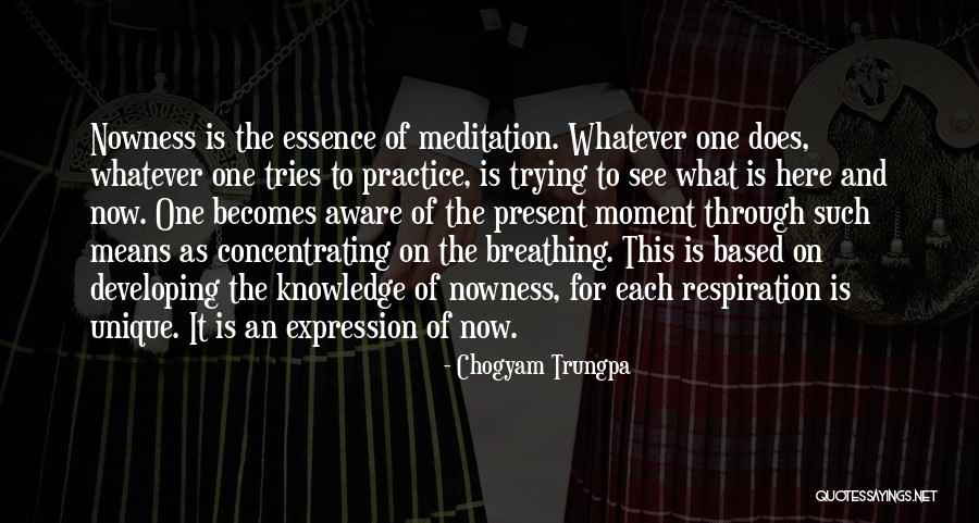 Chogyam Trungpa Quotes 1646970